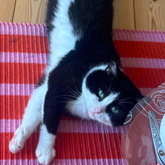 Photo de Zuko